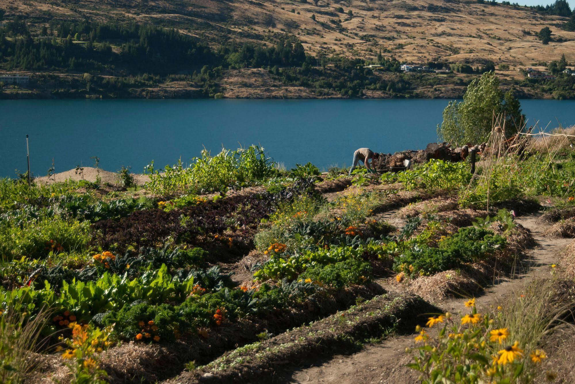Sherwood Queenstown Bagian luar foto